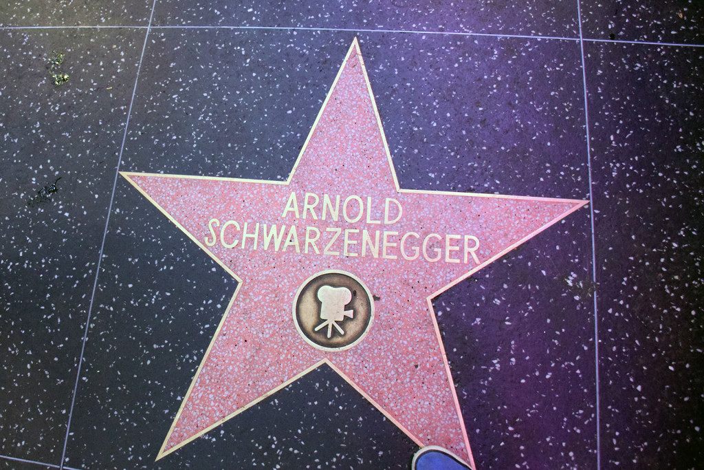 Star of Arnold Schwarzenegger