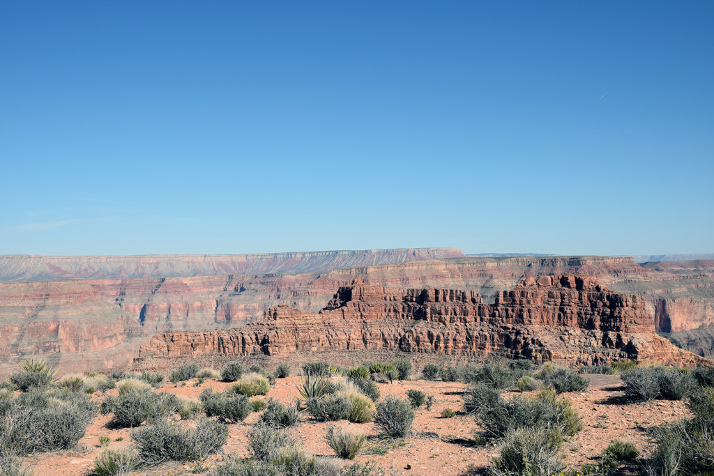 The Grand Canyon