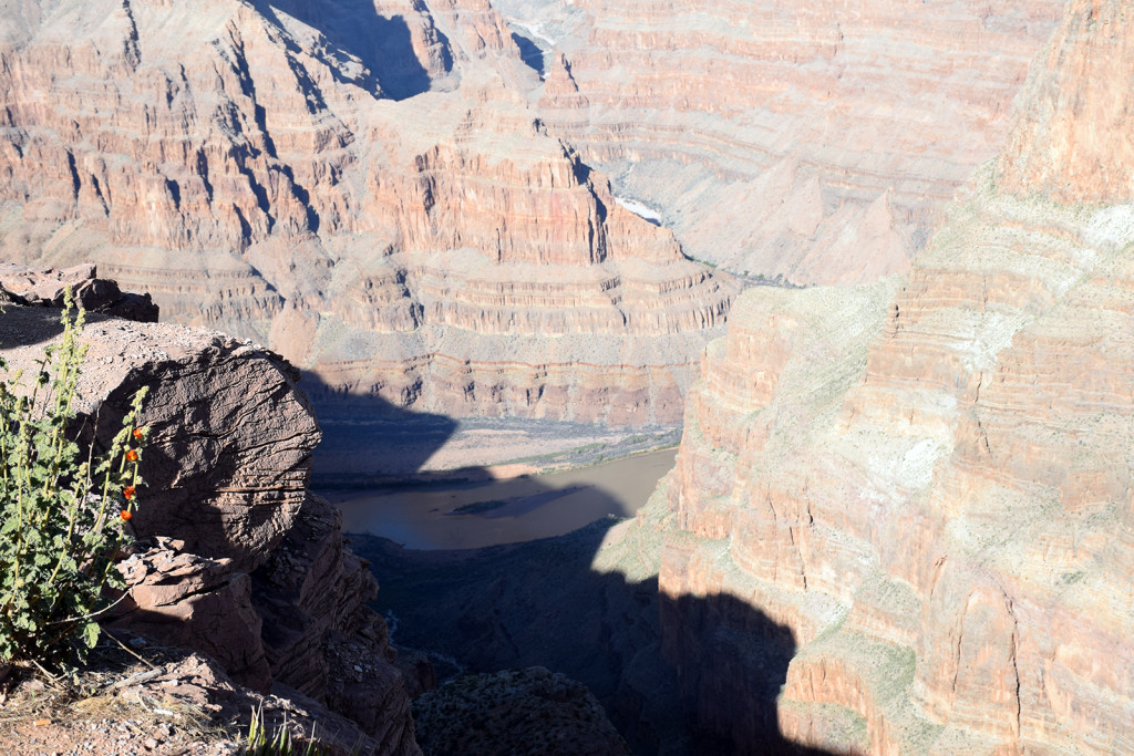 The Grand Canyon