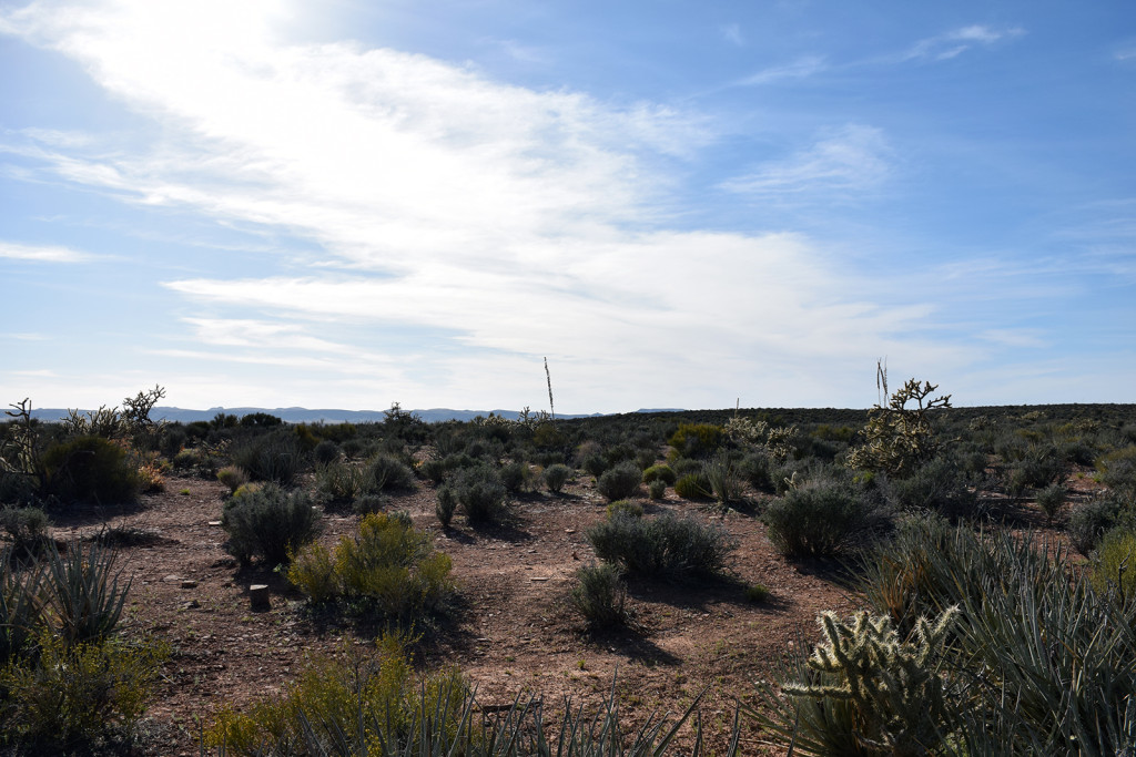 The Grand Canyon Desert