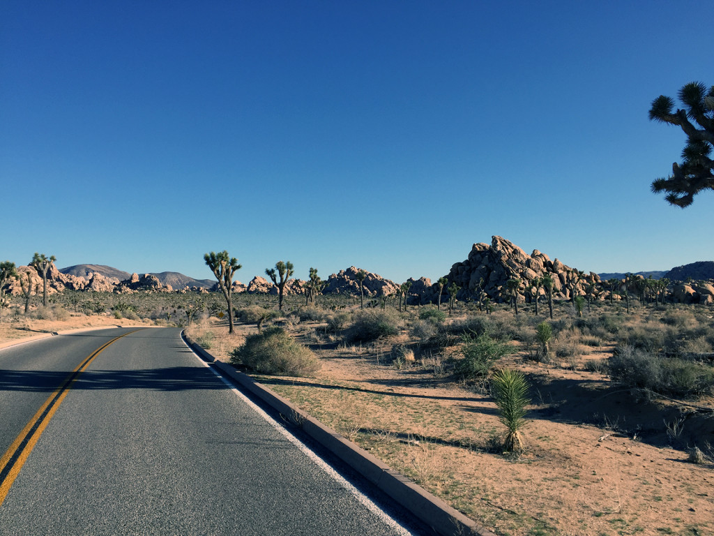 Driving in Joshua Tree National Park
