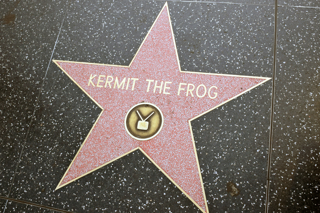 Star of Kermit The Frog